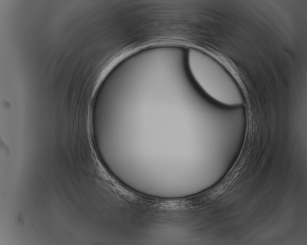 X0000091091390200708060949