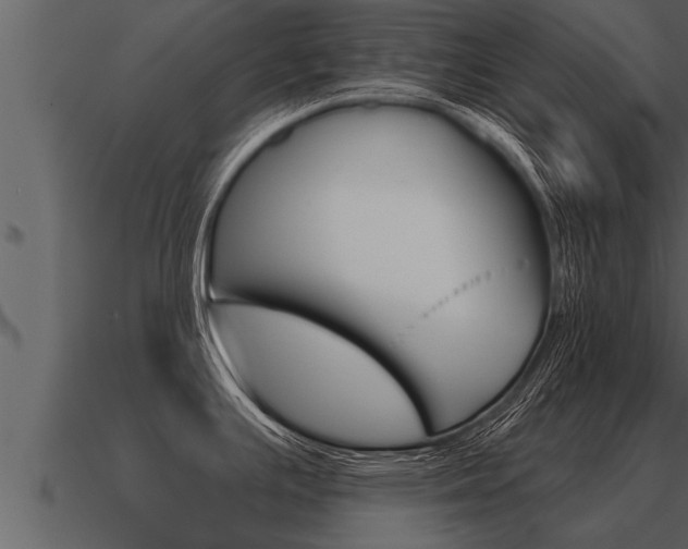 X0000091091391200708060949