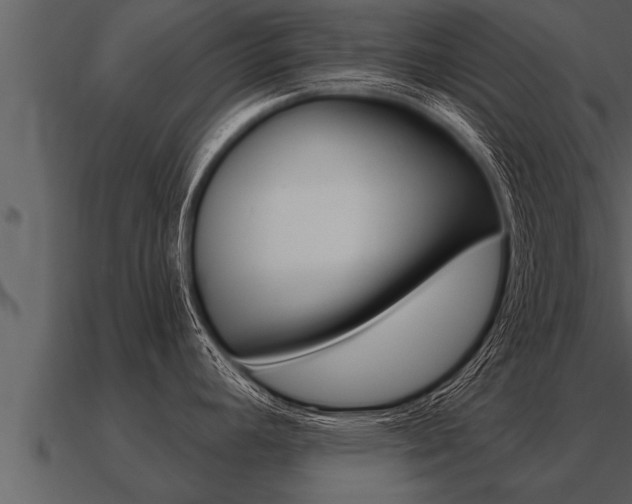 X0000091091392200708060949