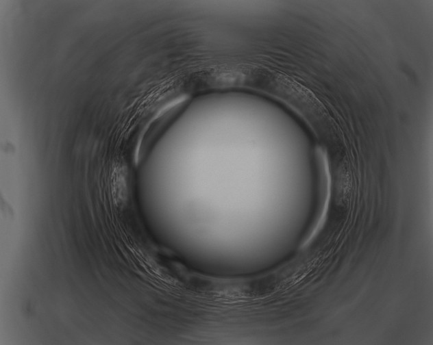 X0000091091394200708060949