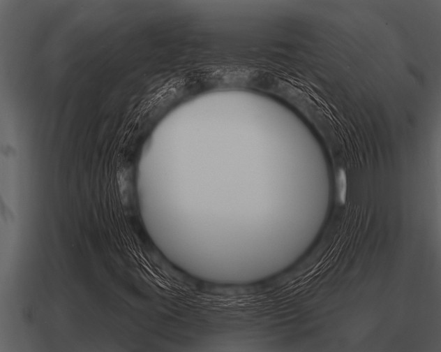X0000091091395200708060949