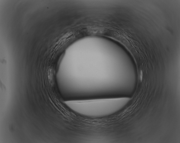 X0000091091396200708060949