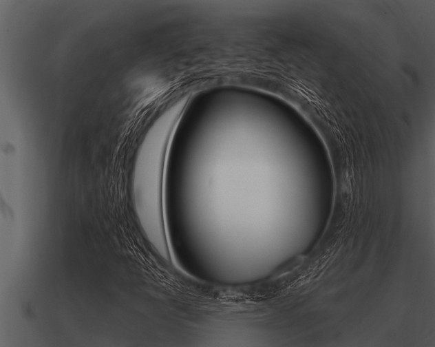 X0000091091398200708060949