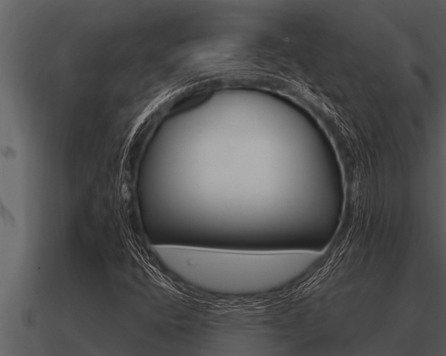 X0000091091400200708060949