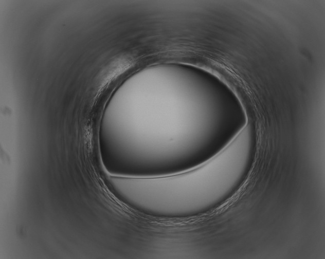 X0000091091402200708060949