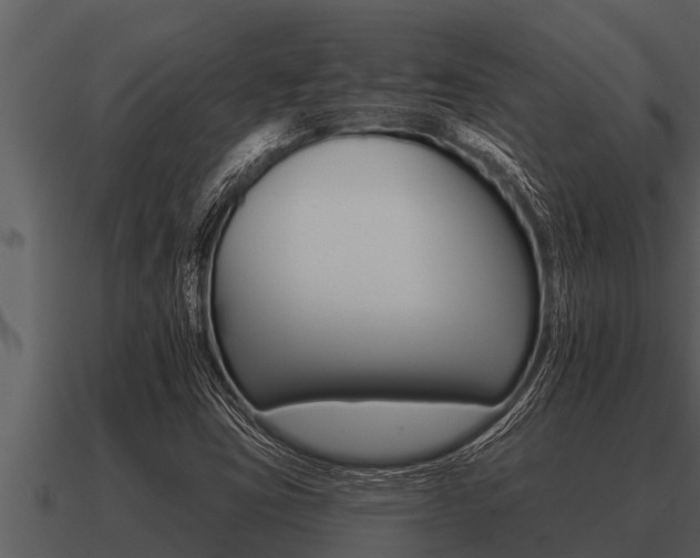 X0000091091403200708060949
