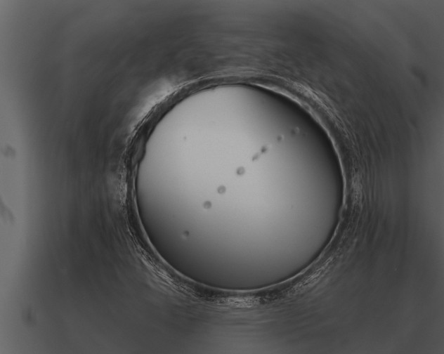 X0000091091406200708060949