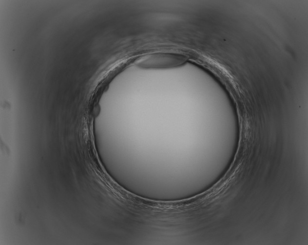 X0000091091407200708060949