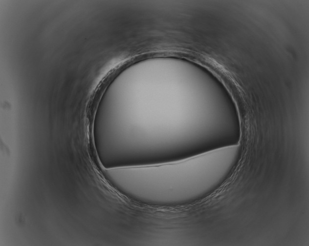X0000091091408200708060949