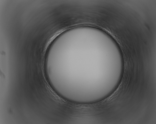 X0000091091410200708060949