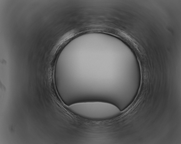 X0000091091411200708060949