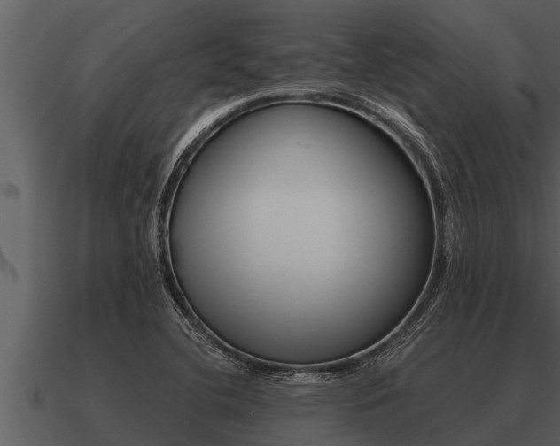 X0000091091412200708060949