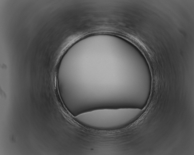 X0000091091413200708060949