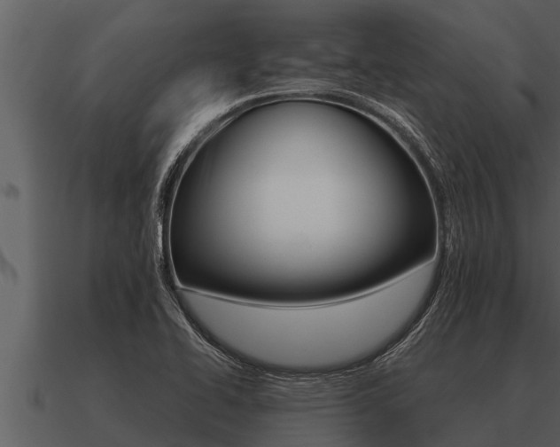 X0000091091414200708060949