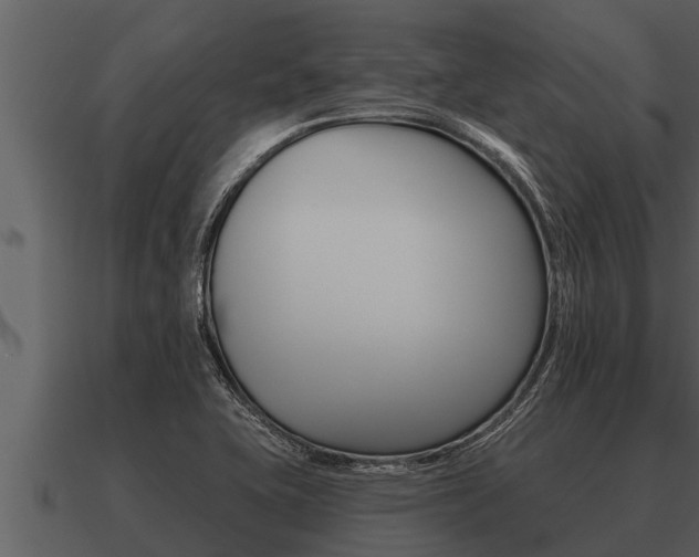 X0000091091415200708060949