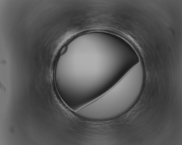 X0000091091416200708060949