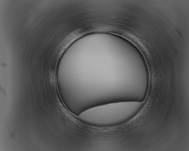 X0000091091417200708060949