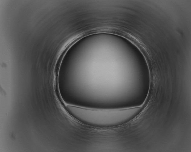 X0000091091418200708060949