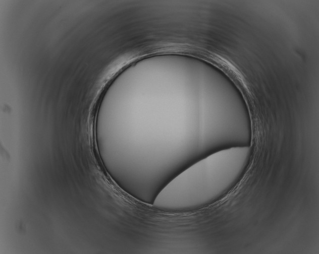 X0000091091419200708060949