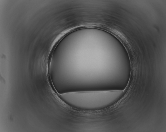 X0000091091420200708060949