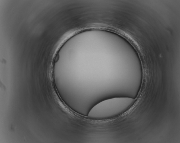 X0000091091421200708060949
