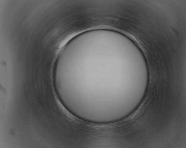 X0000091091422200708060949