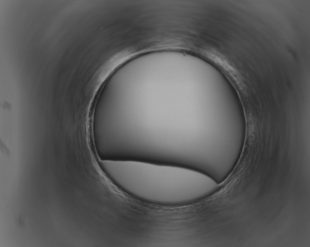 X0000091091423200708060949