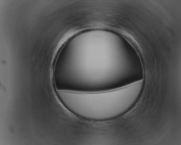 X0000091091424200708060949