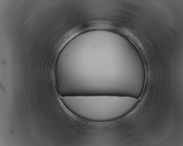 X0000091091425200708060949