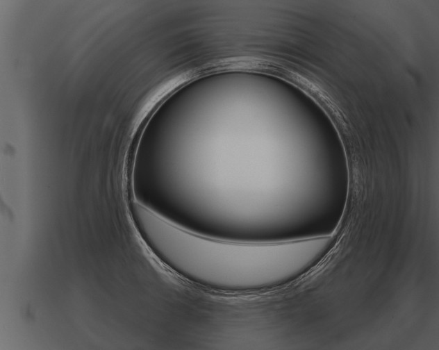X0000091091426200708060949