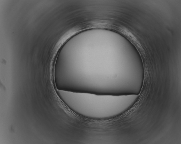X0000091091427200708060949