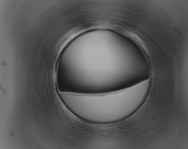 X0000091091428200708060949