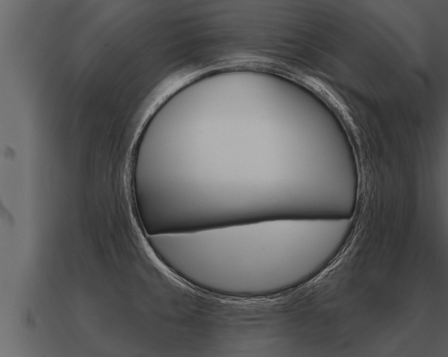 X0000091091429200708060949
