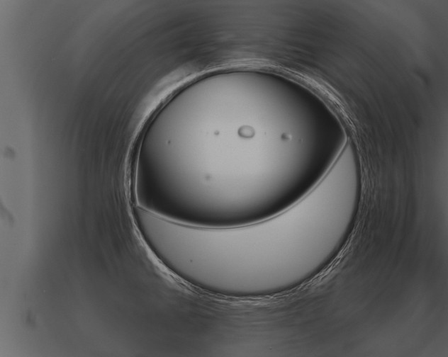 X0000091091430200708060949