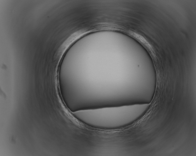 X0000091091431200708060949