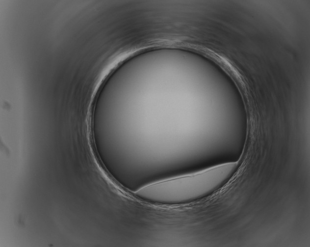 X0000091091432200708060949