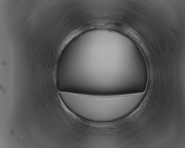 X0000091091433200708060949