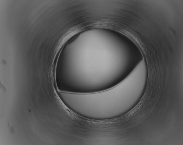 X0000091091434200708060949