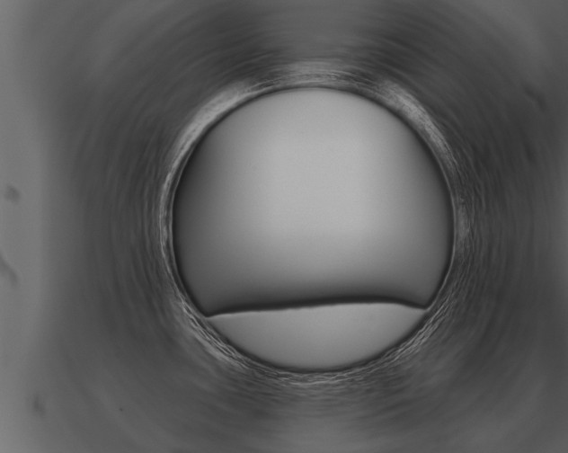 X0000091091435200708060949