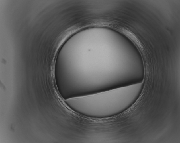 X0000091091436200708060949