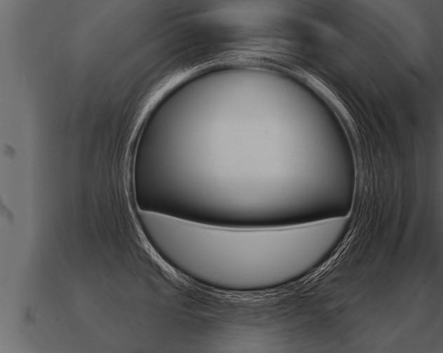 X0000091091437200708060949