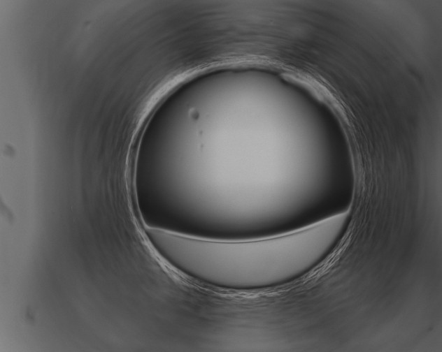 X0000091091438200708060949