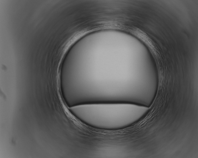 X0000091091439200708060949
