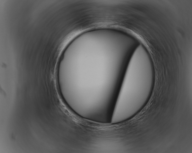 X0000091091440200708060949