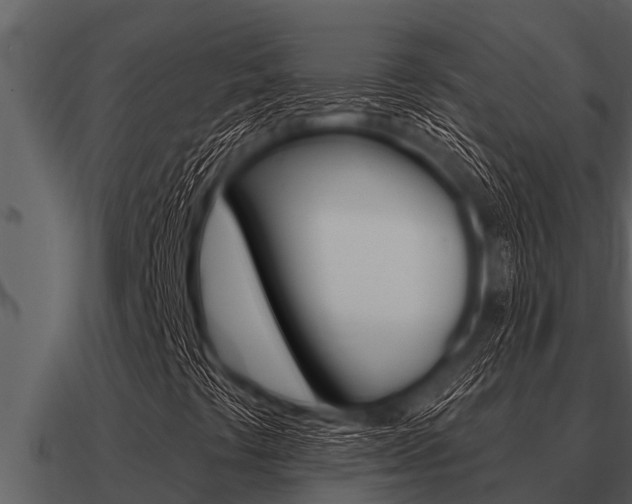 X0000091091441200708060949