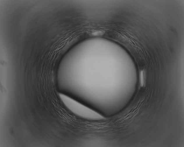 X0000091091443200708060949