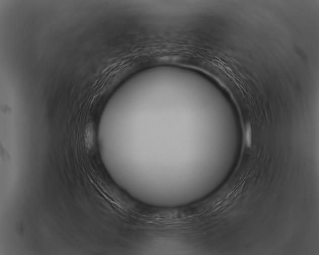 X0000091091444200708060949