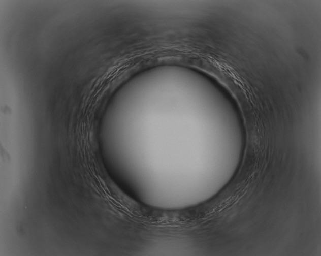 X0000091091445200708060949