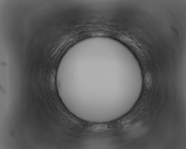 X0000091091446200708060949
