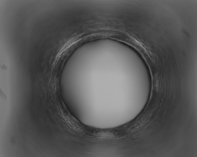 X0000091091448200708060949
